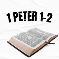 Life Group - 1 Peter 1-2